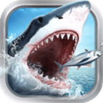 华为手机怎么v p n